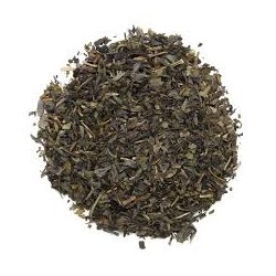 thé vert Oriental