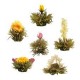 assortiment  4 fleurs de thé