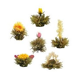 assortiment  4 fleurs de thé